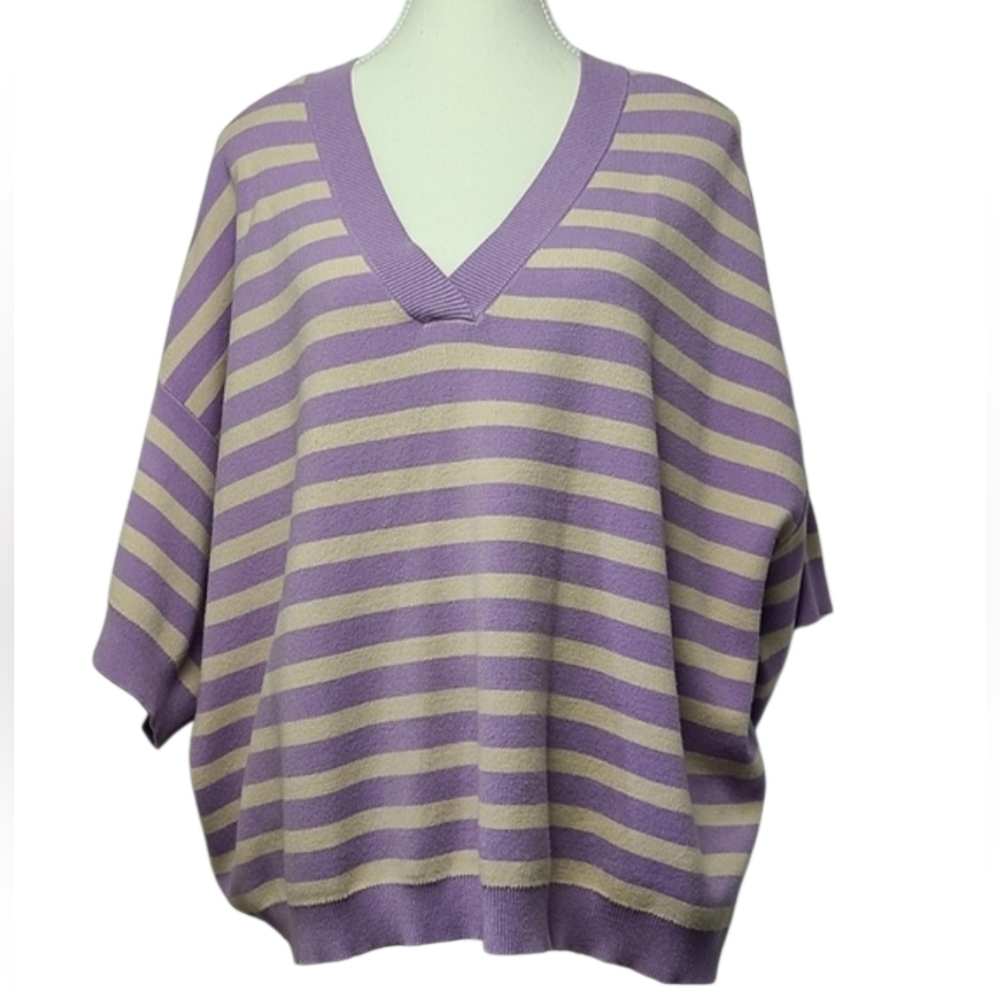 Paper Label Sara Oversized Striped Boxy V-Neck Knit Sweater Women’s L